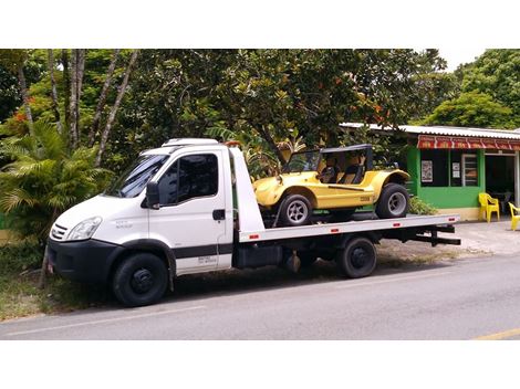 Transporte de Veículos no Ibirapuera